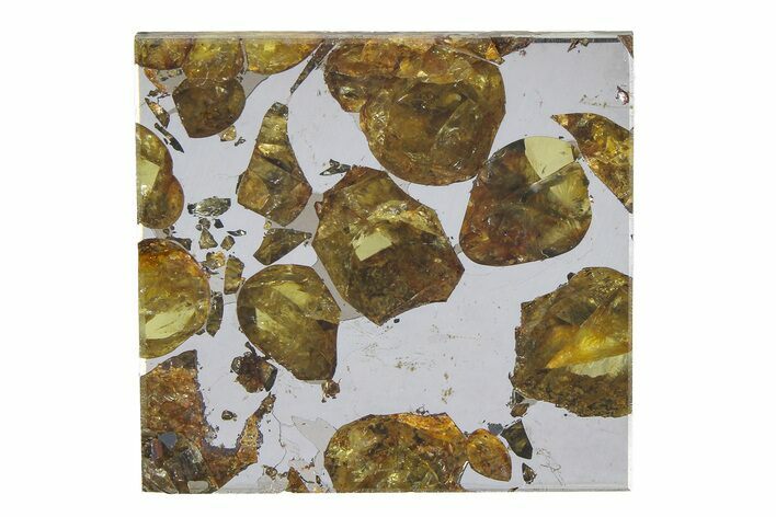 Brahin Pallasite Meteorite ( g) Slice - Belarus #351937